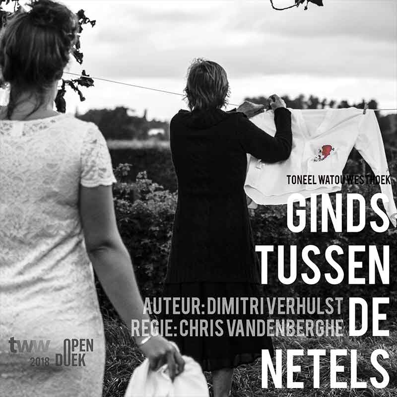 Ginds tussen de netels